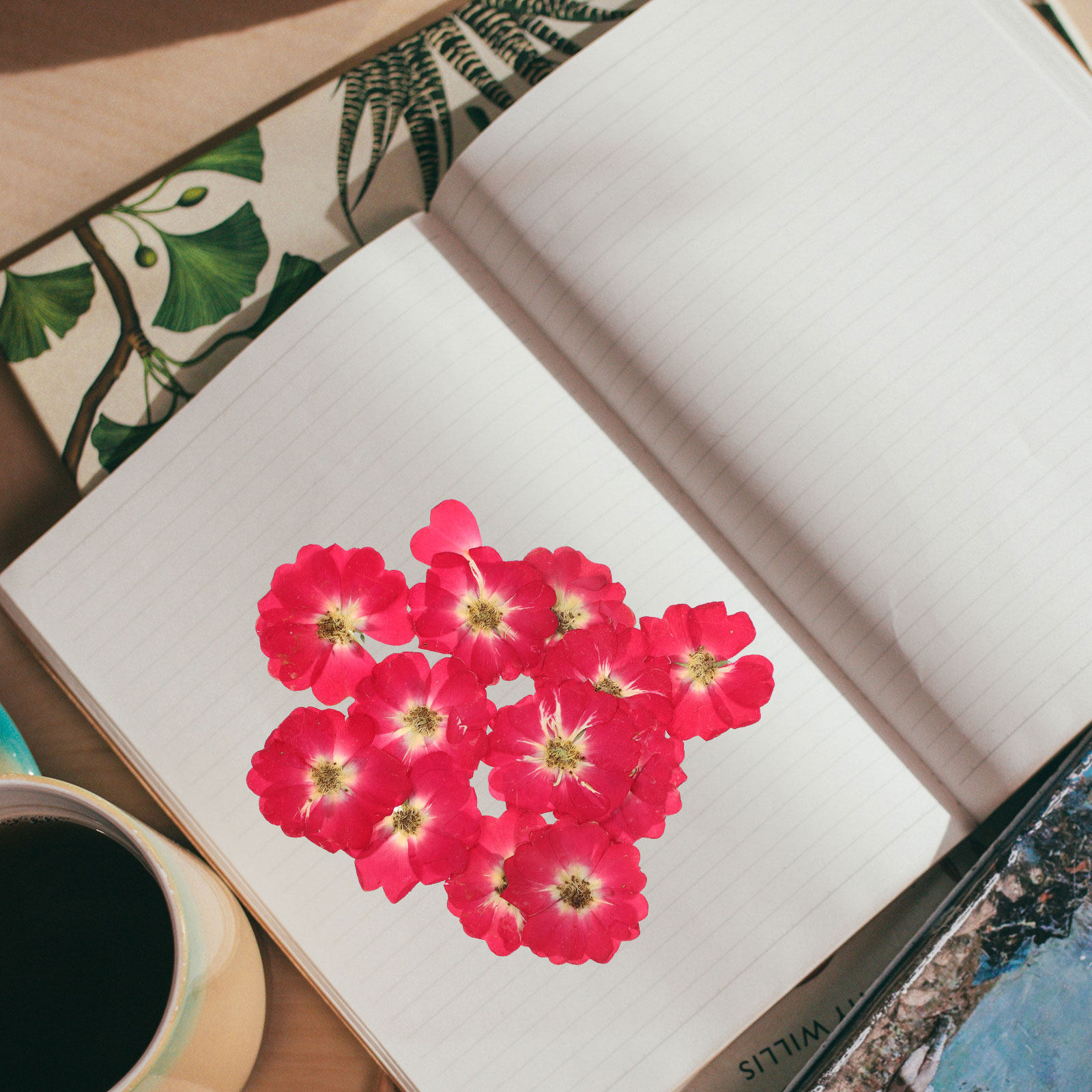 Resin Art Diy - 12Pcs Natural Dried Rose Pressed Flowers