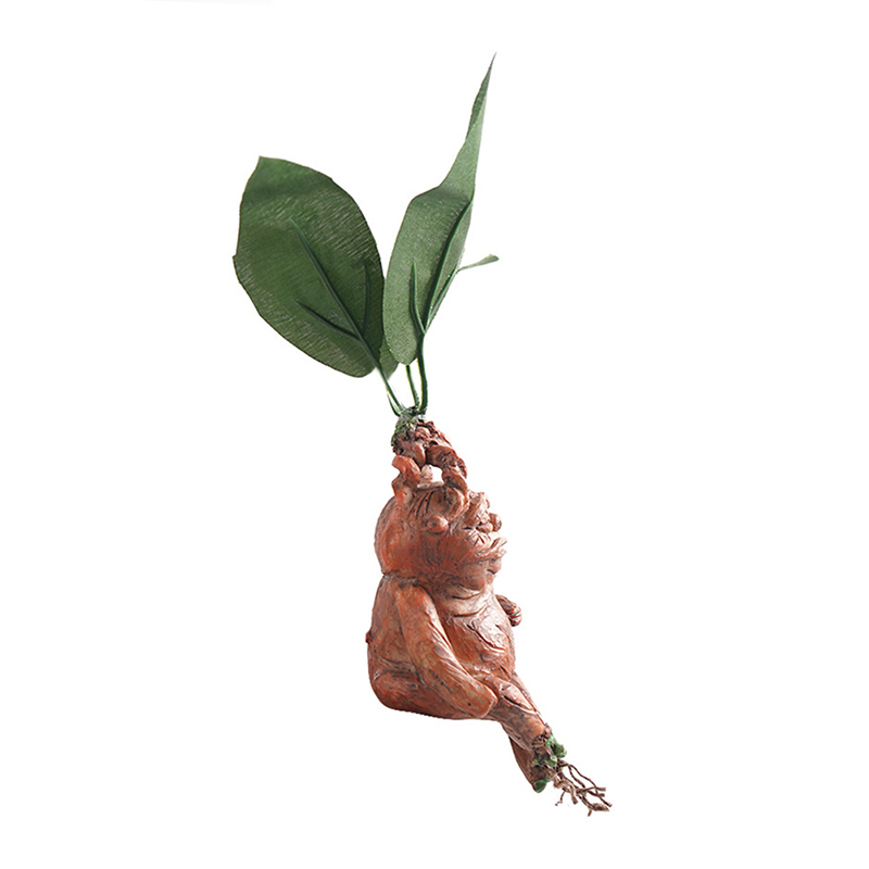 1PCS Mandrake Grass Resin Stat – Resin Art Anniversary Gift Bewertung und Preis