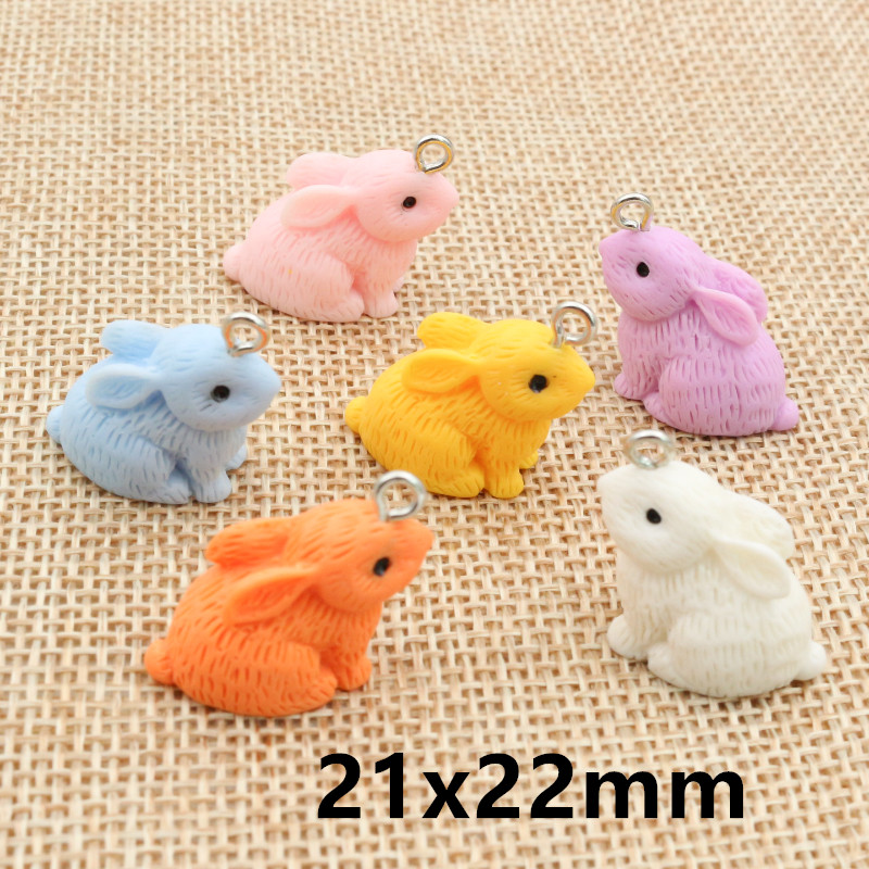 10PCS Resin Pendant Charms Rab – Resin Art Essentials Bewertung und Preis