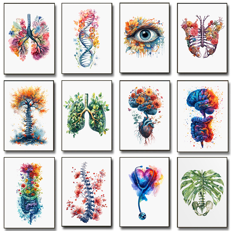 Anatomy Of Human Organs Poster – Resin Art Wall Bewertung und Preis